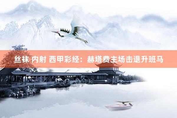 丝袜 内射 西甲彩经：赫塔费主场击退升班马